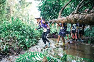 BIB: 
                            <button type="button" onclick="openModal(25472107)" class="btn btn-primary btn-sm float-right btn-popup" data-toggle="modal" data-target=".modal-high-quality">
                        <i class="fas fa-shopping-cart"></i> Add to Cart
                    </button>
                                            <button type="button" onclick="isThisMe(25472107, true)" class="btn btn-success btn-sm float-right btn-popup btn-isme hidden" data-toggle="tooltip" data-placement="bottom" title="นี่คือรูปของคุณใช่ไหม คลิกที่นี่เพื่อเอาเข้าอัลบั้ม">
                        <i class="fas fa-plus"></i> Add to album
                    </button>
                    <button type="button" onclick="isThisMe(25472107, false)" class="btn btn-warning btn-sm float-right btn-popup btn-isnotme hidden">
                        <i class="fas fa-ban"></i> Remove from album
                    </button>